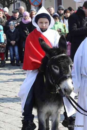 Wjazd Jezusa do Rydzyny (zdjęcia)