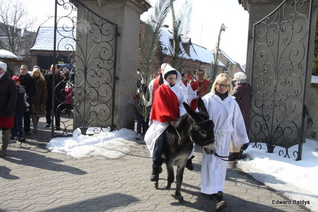 Wjazd Jezusa do Rydzyny (zdjęcia)