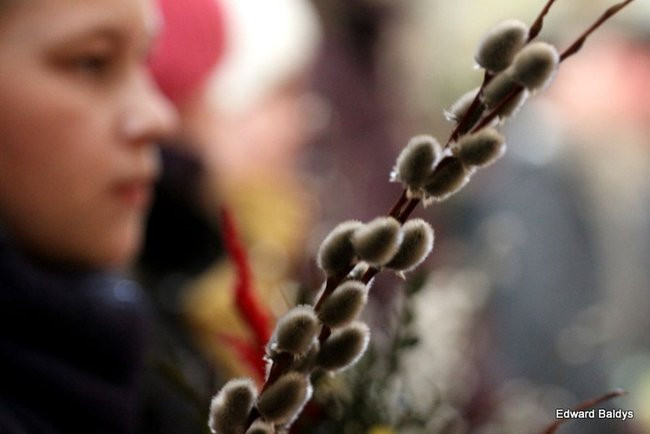 Wjazd Jezusa do Rydzyny (zdjęcia)