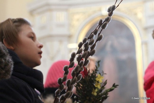 Wjazd Jezusa do Rydzyny (zdjęcia)