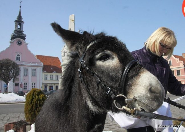 Wjazd Jezusa do Rydzyny (zdjęcia)