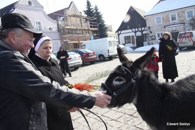 Wjazd Jezusa do Rydzyny (zdjęcia)