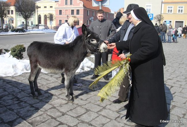 Wjazd Jezusa do Rydzyny (zdjęcia)