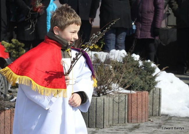 Wjazd Jezusa do Rydzyny (zdjęcia)