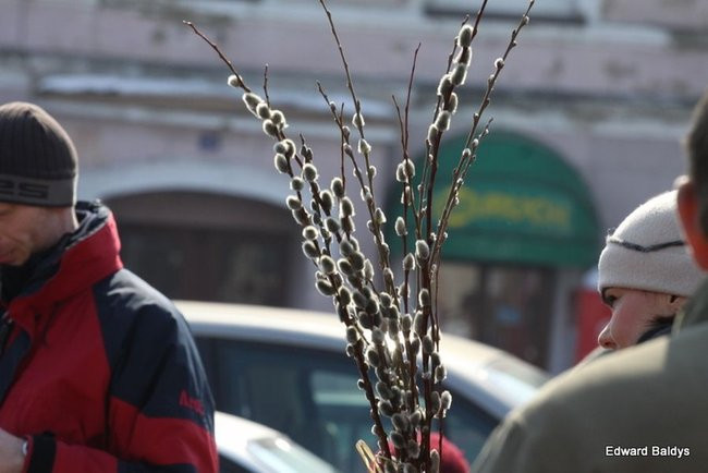 Wjazd Jezusa do Rydzyny (zdjęcia)