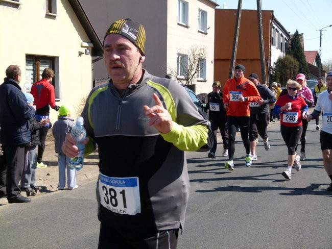 Pogoda wspaniała jak publiczność (zdjęcia)