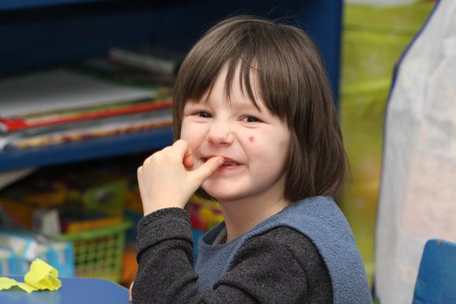 Motylki w Hiszpanii (zdjęcia)