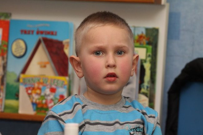 Motylki w Hiszpanii (zdjęcia)