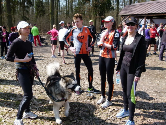 Bieg dla życia (zdjęcia)