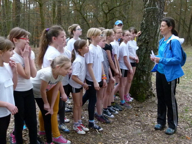 Przełajowe mistrzostwa (zdjęcia)