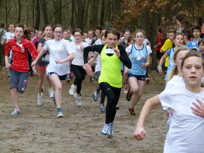 Przełajowe mistrzostwa (zdjęcia)