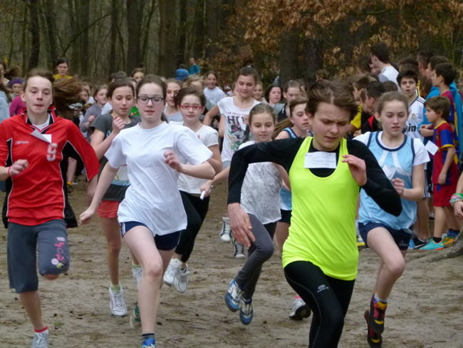 Przełajowe mistrzostwa (zdjęcia)