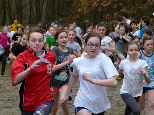 Przełajowe mistrzostwa (zdjęcia)