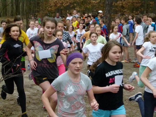 Przełajowe mistrzostwa (zdjęcia)