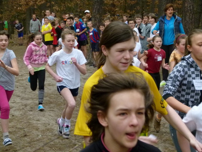 Przełajowe mistrzostwa (zdjęcia)