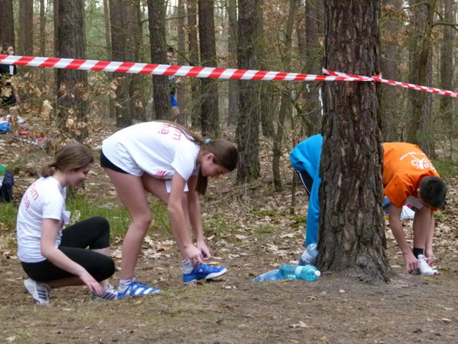 Przełajowe mistrzostwa (zdjęcia)