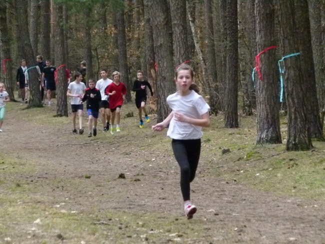 Przełajowe mistrzostwa (zdjęcia)