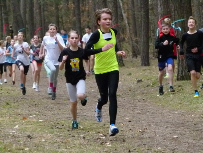 Przełajowe mistrzostwa (zdjęcia)