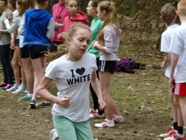 Przełajowe mistrzostwa (zdjęcia)