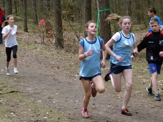 Przełajowe mistrzostwa (zdjęcia)