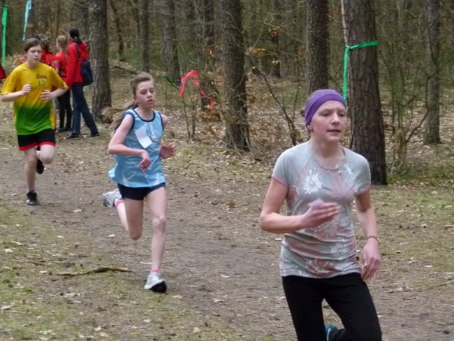 Przełajowe mistrzostwa (zdjęcia)