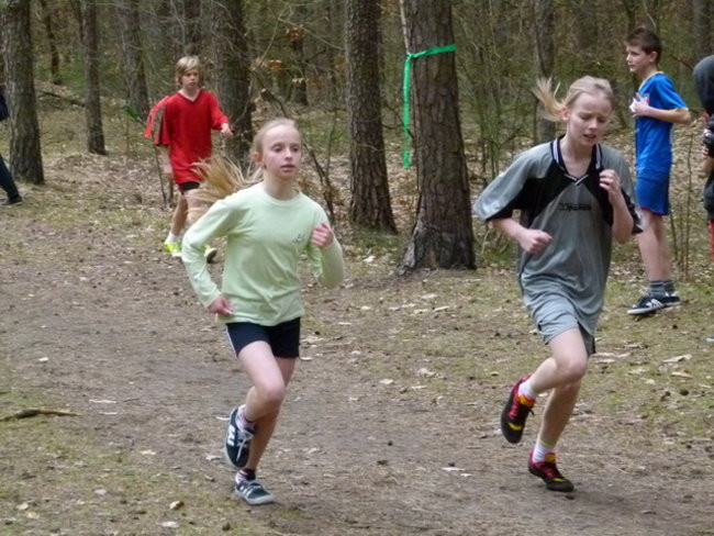 Przełajowe mistrzostwa (zdjęcia)