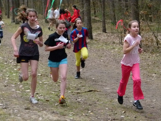 Przełajowe mistrzostwa (zdjęcia)