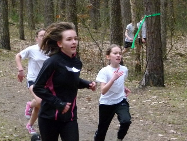 Przełajowe mistrzostwa (zdjęcia)