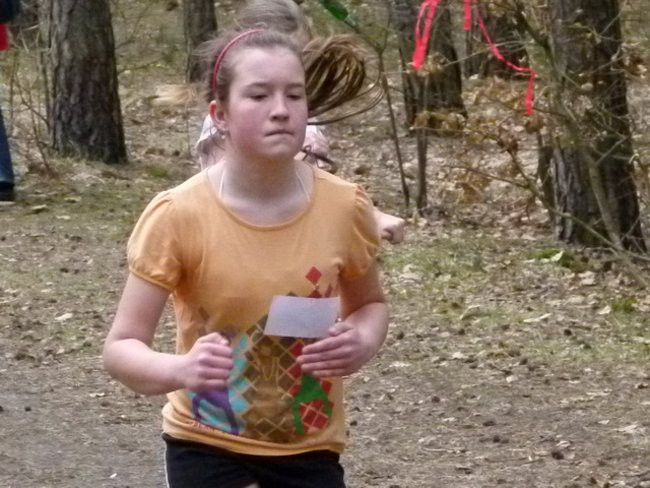 Przełajowe mistrzostwa (zdjęcia)