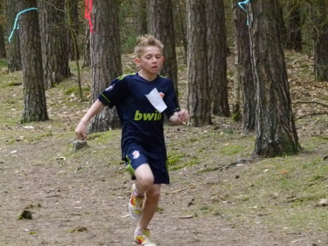 Przełajowe mistrzostwa (zdjęcia)