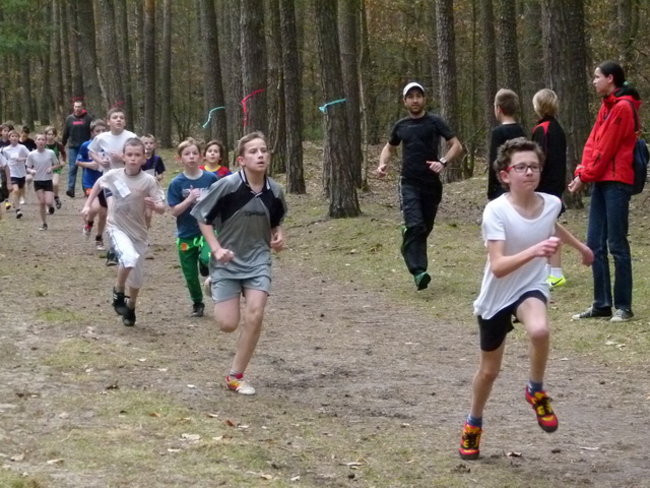 Przełajowe mistrzostwa (zdjęcia)