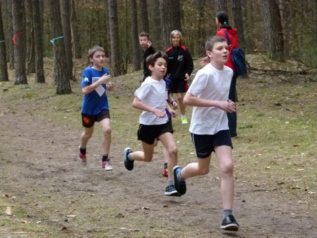 Przełajowe mistrzostwa (zdjęcia)