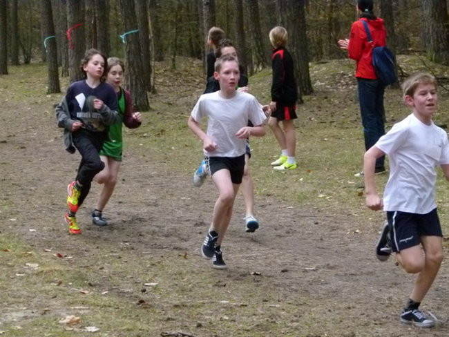 Przełajowe mistrzostwa (zdjęcia)