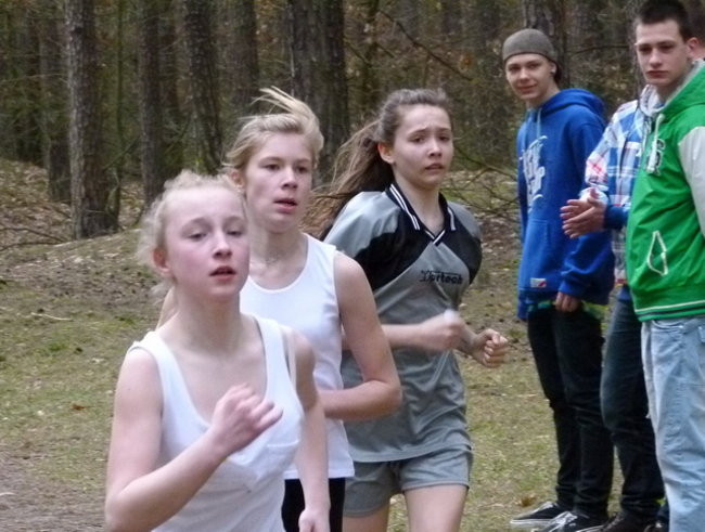 Przełajowe mistrzostwa (zdjęcia)