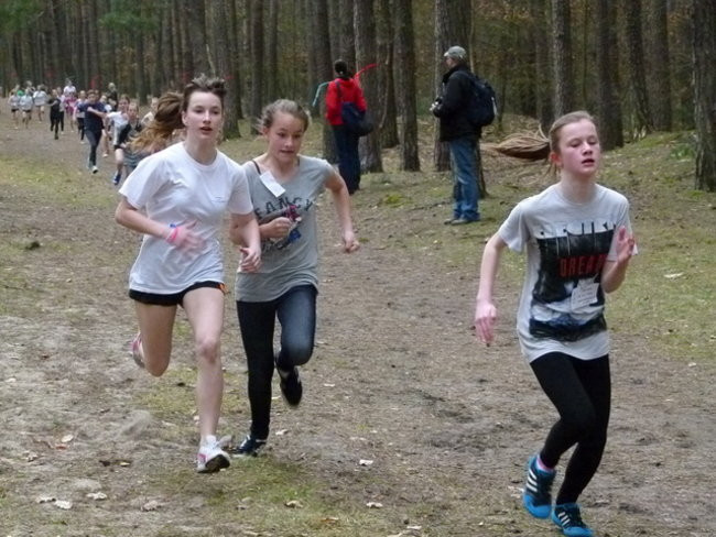 Przełajowe mistrzostwa (zdjęcia)