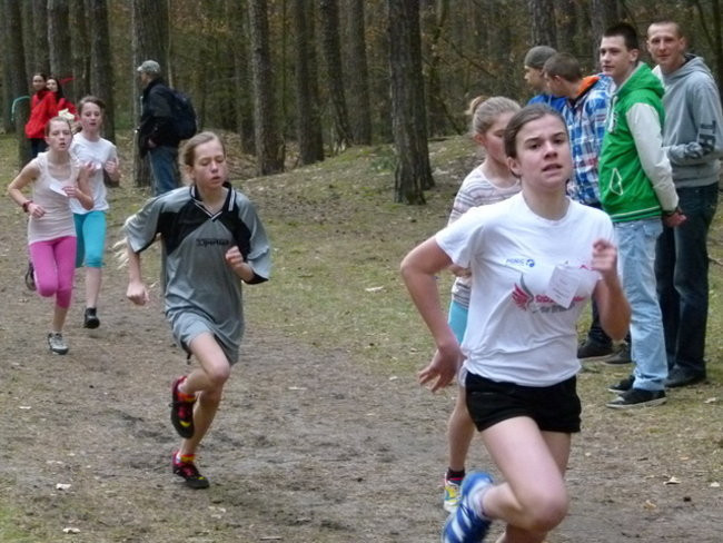 Przełajowe mistrzostwa (zdjęcia)