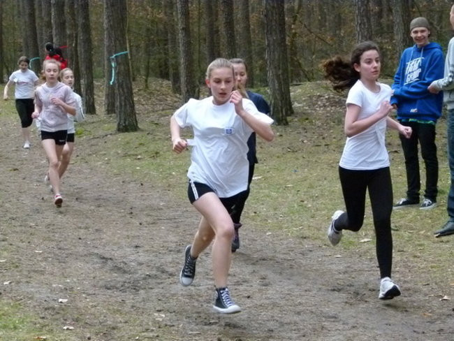 Przełajowe mistrzostwa (zdjęcia)