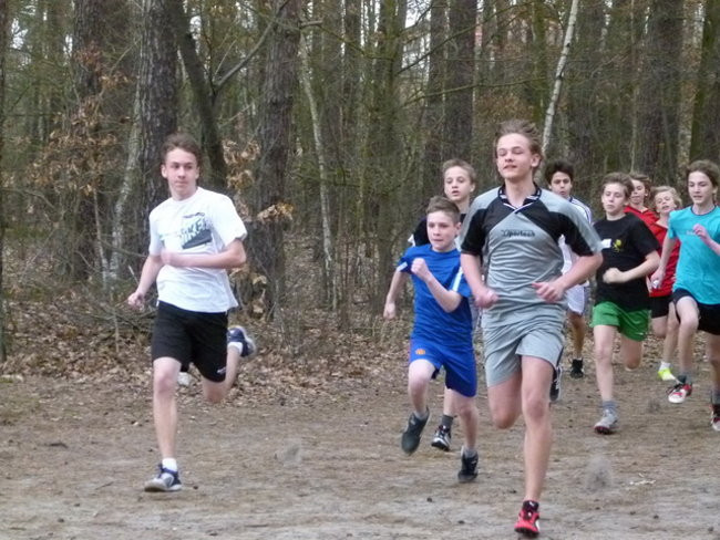 Przełajowe mistrzostwa (zdjęcia)