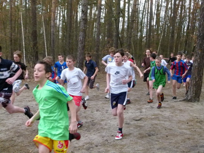 Przełajowe mistrzostwa (zdjęcia)