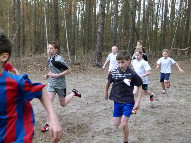 Przełajowe mistrzostwa (zdjęcia)