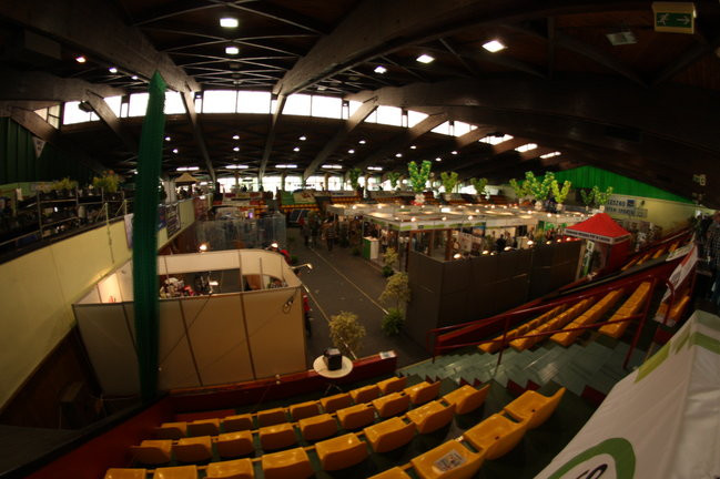 Targi Dom i Ogród w Trapezie (zdjęcia)