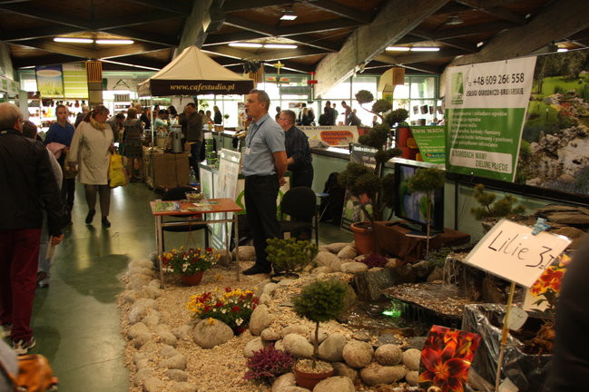 Targi Dom i Ogród w Trapezie (zdjęcia)