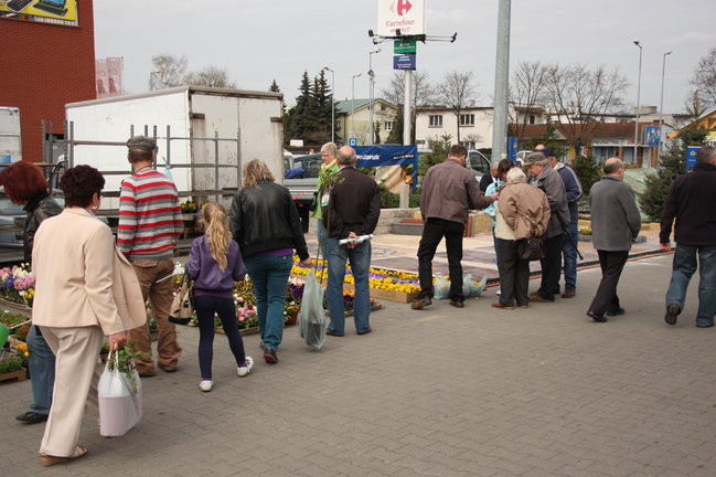 Targi Dom i Ogród w Trapezie (zdjęcia)