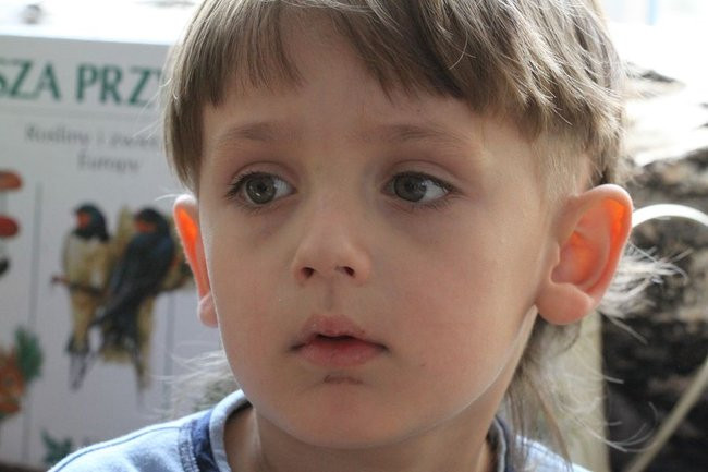 W krainie bajek (zdjęcia)