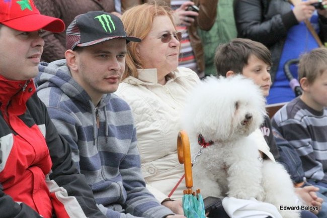 Dwudniowe Szlifowanie bruku (dużo zdjęć)