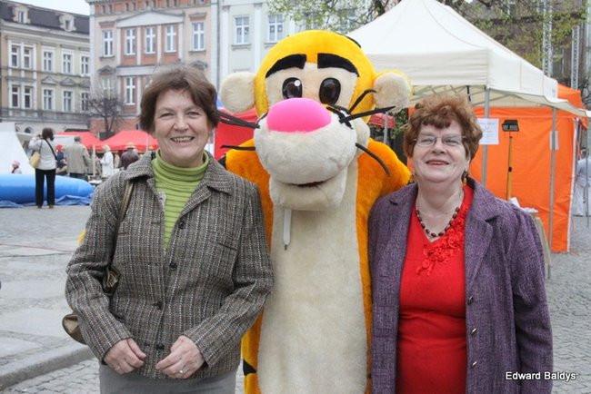 Dwudniowe Szlifowanie bruku (dużo zdjęć)