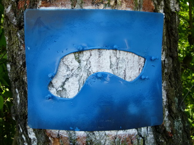 Zaskakująco blisko do Rydzyny (zdjęcia)