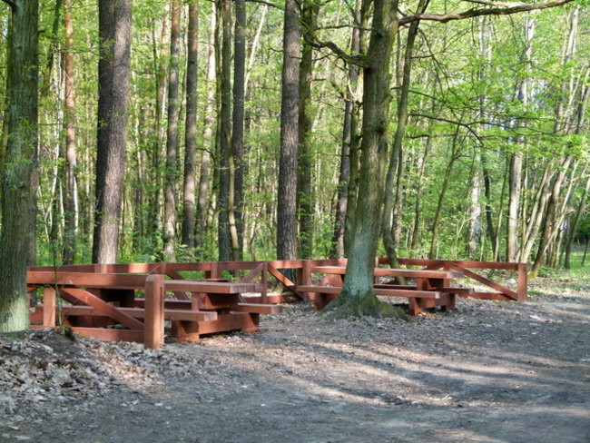 Zaskakująco blisko do Rydzyny (zdjęcia)