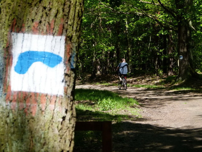 Zaskakująco blisko do Rydzyny (zdjęcia)