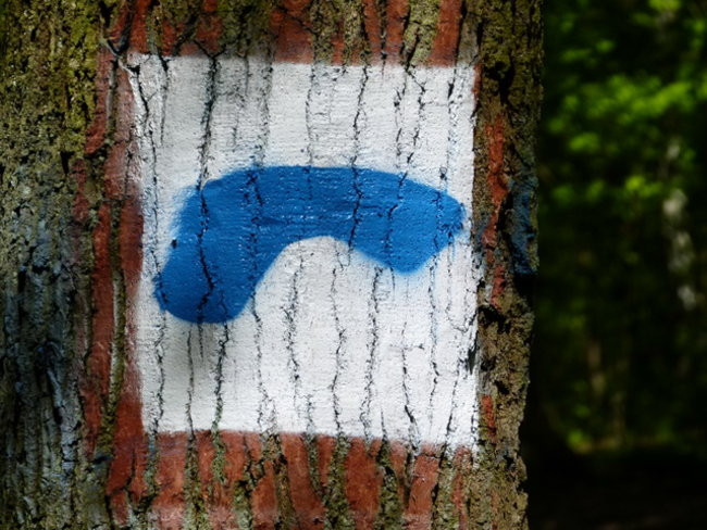 Zaskakująco blisko do Rydzyny (zdjęcia)